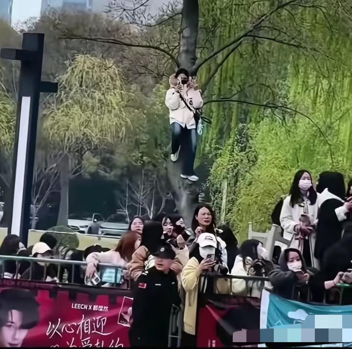 国乒成都封闭训练—这些球迷太疯狂！
有个小姐姐站到树上，
有位大哥爬到树尖，
这