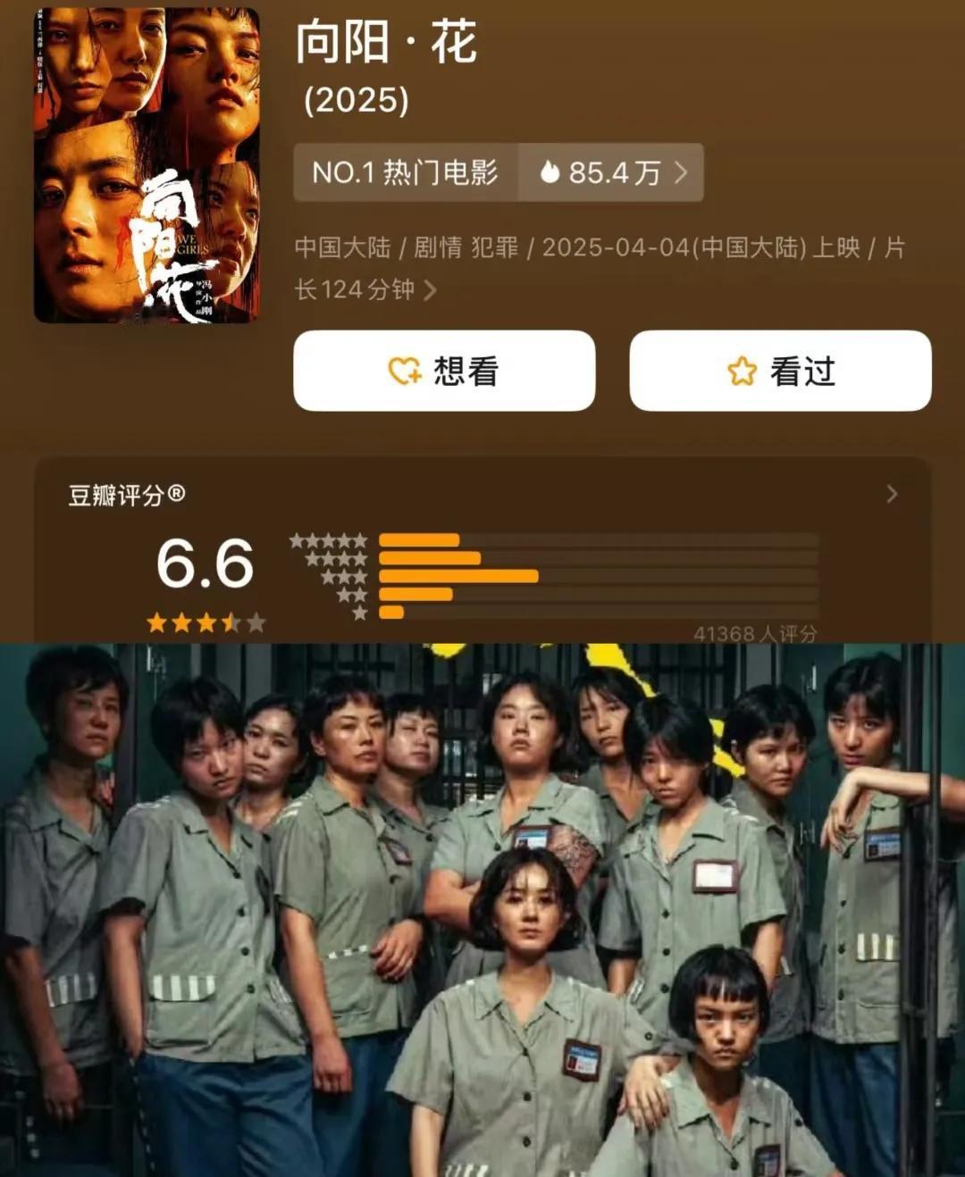 姗姗来迟地看完了赵丽颖的新片《向阳花》，觉得不合理的地方，着实多。

老实说，这