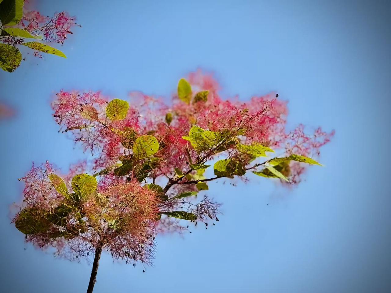 我的今日状态：😁轻松愉快
我这里的天气：🌤️多云
    叠翠烟罗
    