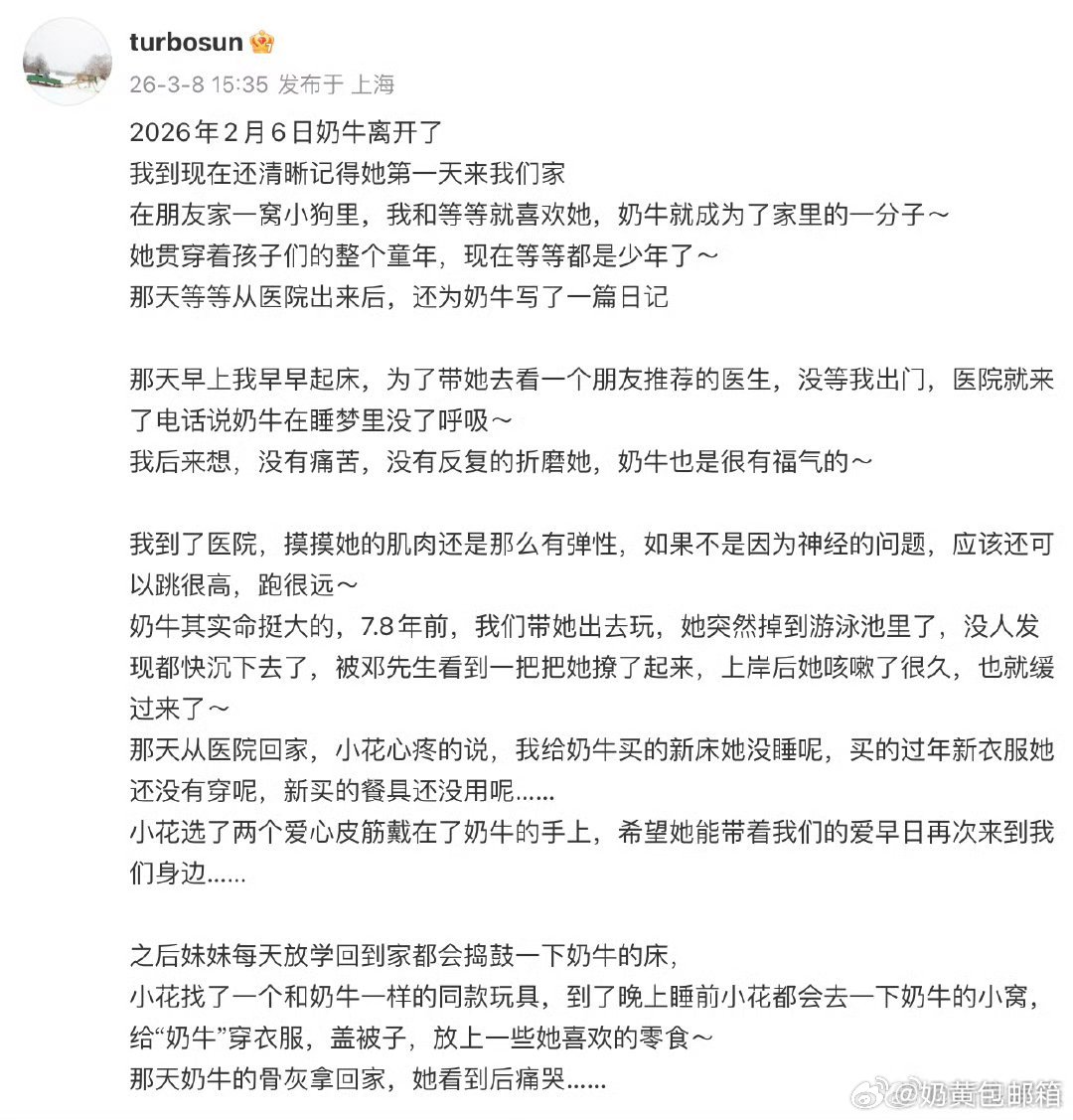 孙俪家的小狗奶牛去世了文字传递爱的力量 