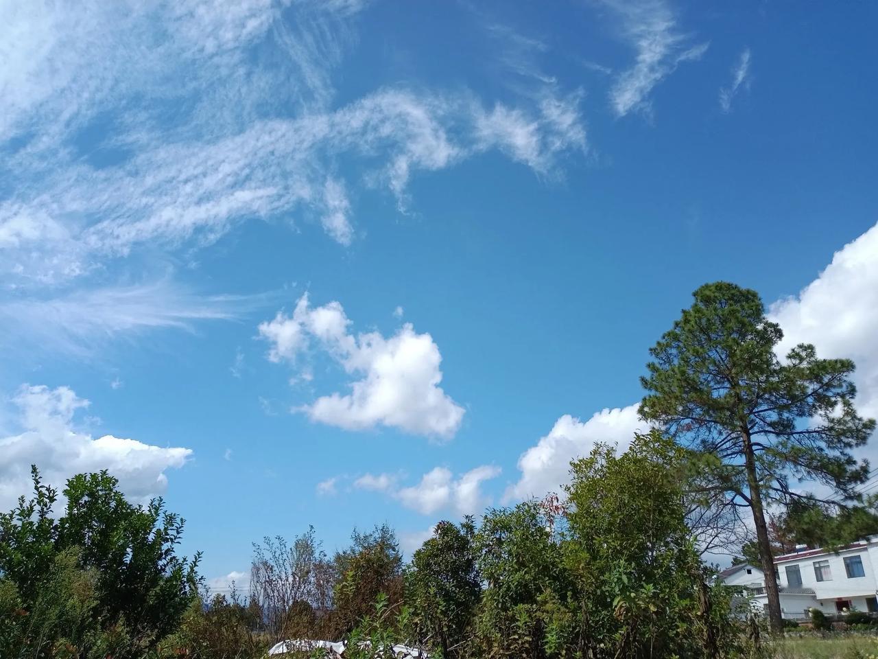 乡野的天空
乡村田野空气新鲜，天空蔚蓝，云轻随意，树木葱茂，处处是美景！