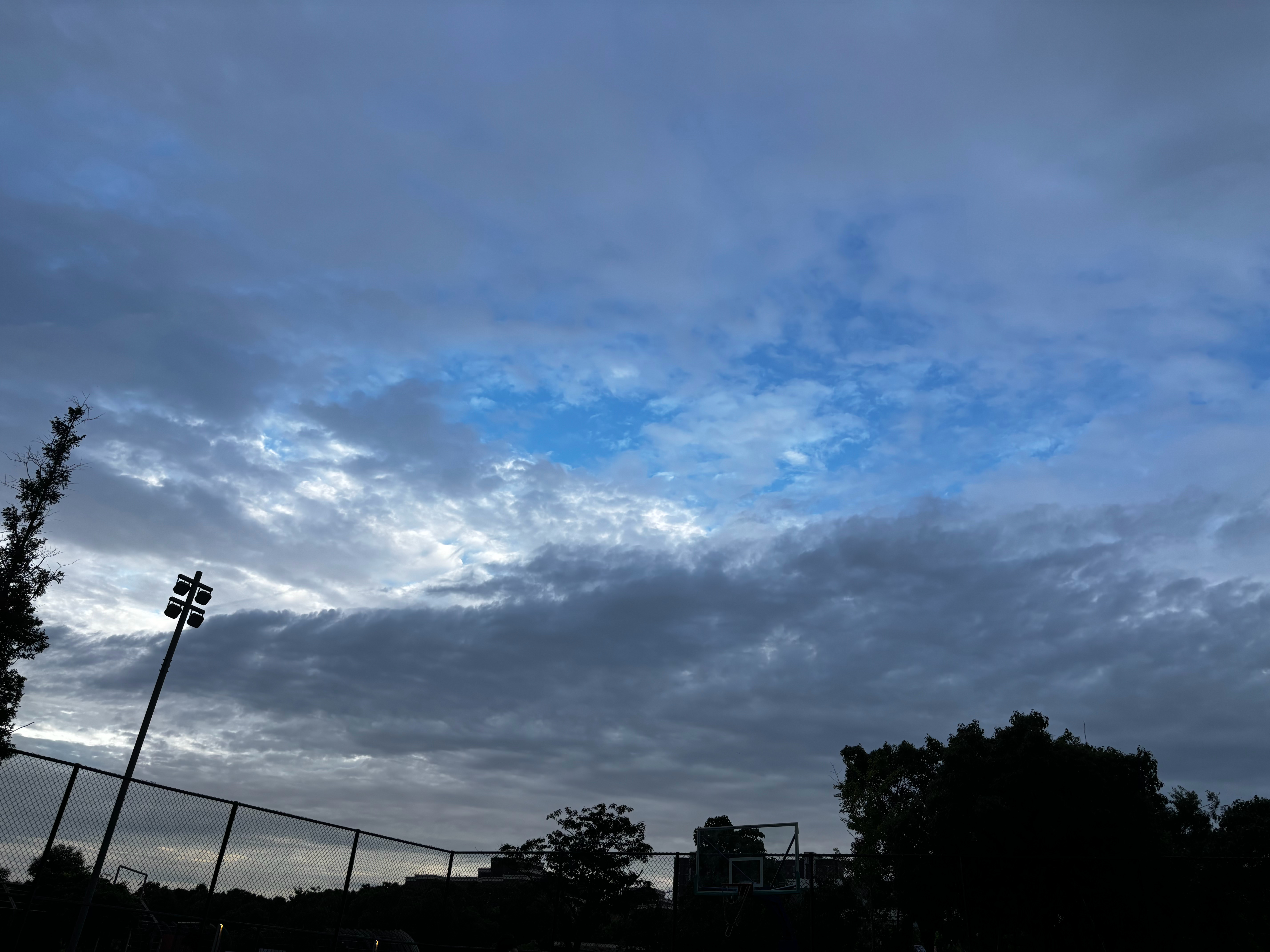 上海这鬼天气，一到下午四五点就开始下雨，把篮球场淋的湿漉漉的，然后就不下了。然后