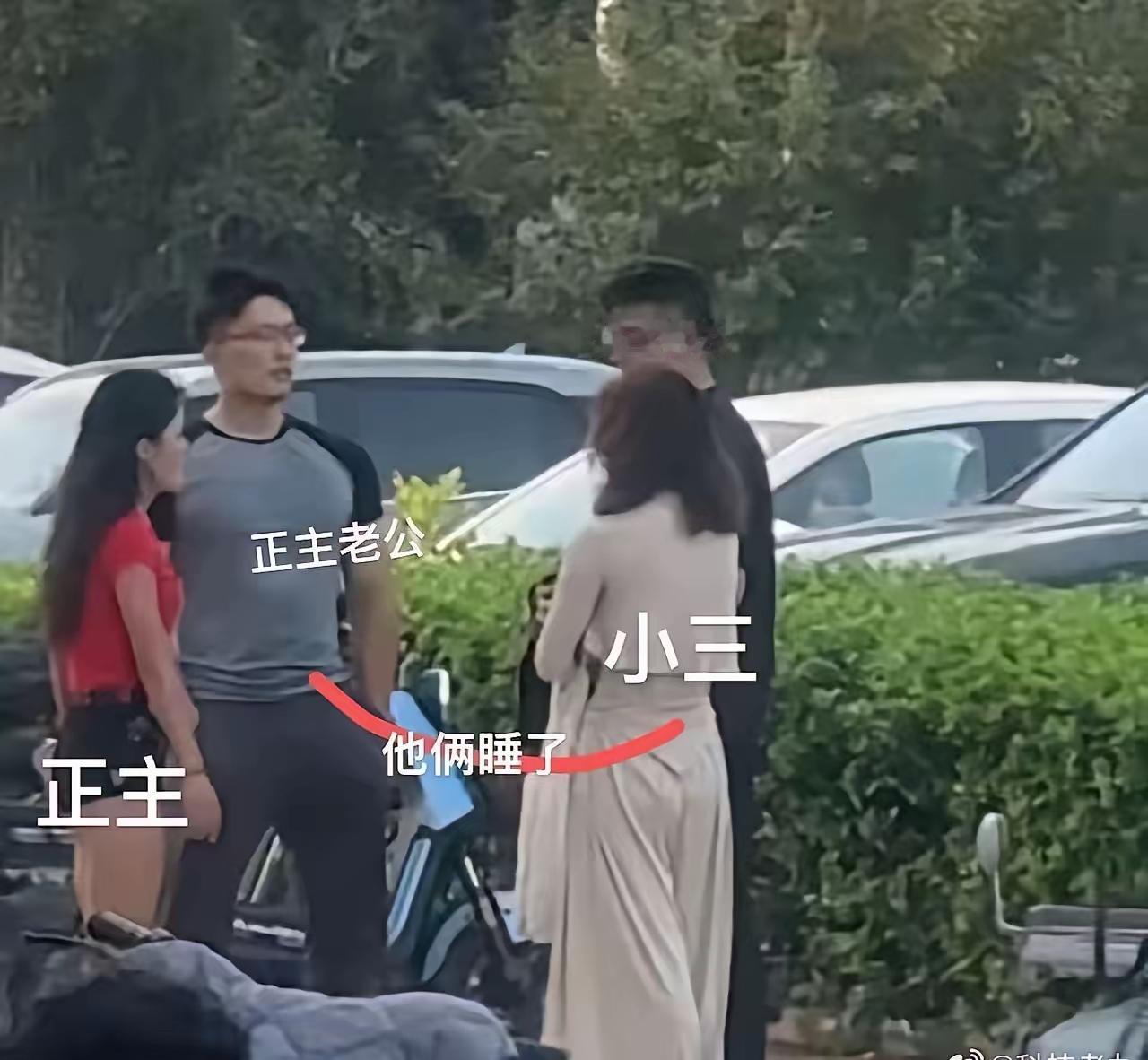 出轨率挺高的