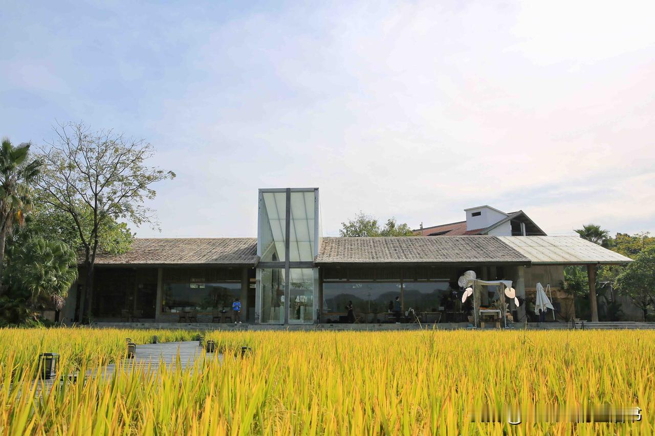 推开三禾·稻里民宿的大门，立刻置身于一片金色麦田，瞬间被这温暖又治愈的画面震撼到