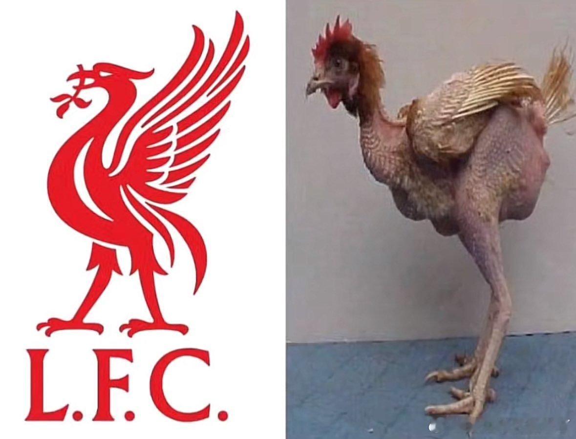 有人拿图形容图一欧冠的利物浦图二 英超的利物浦 