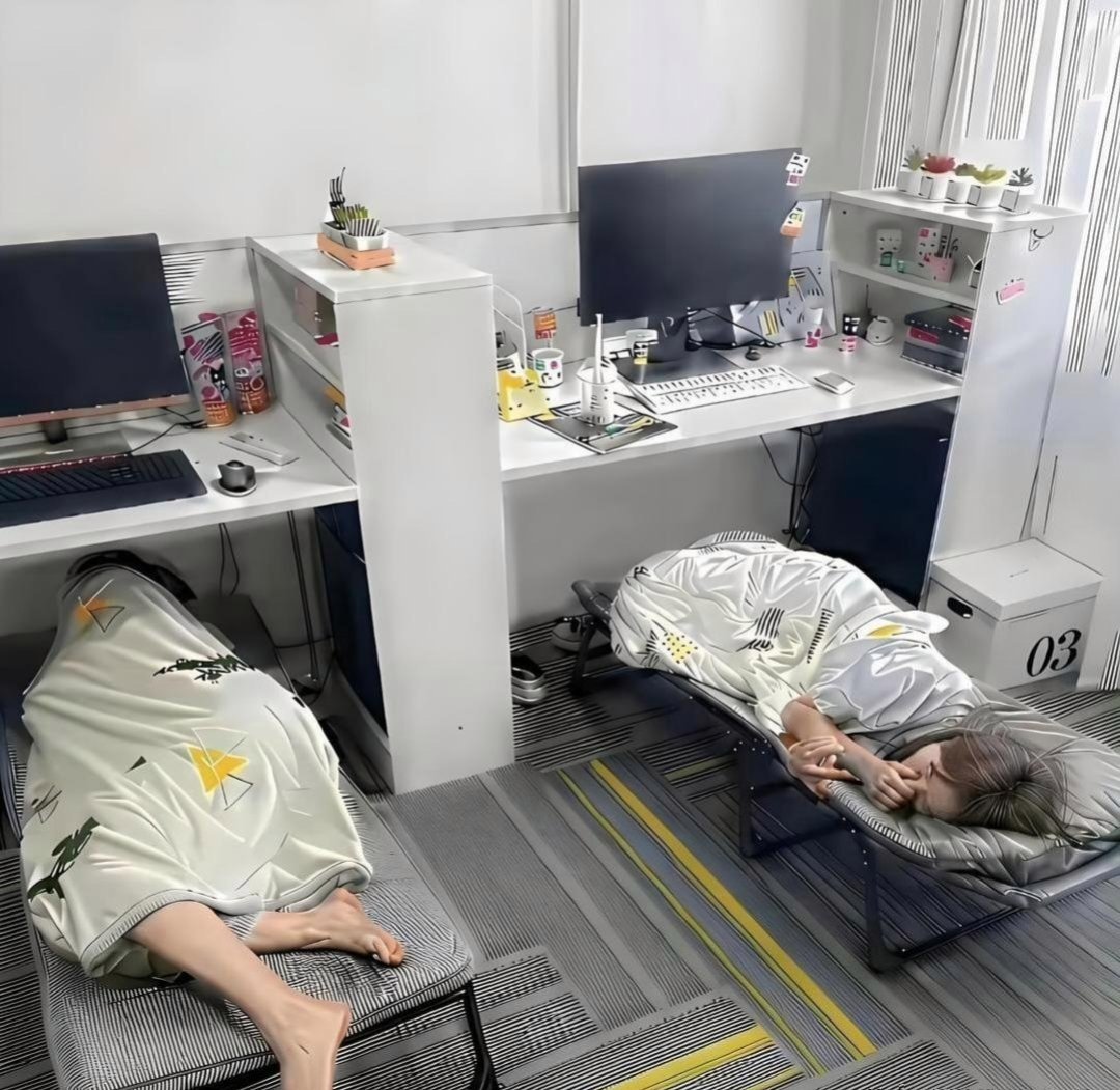 为什么要好好读书，这就是最好的答案。 ​​​