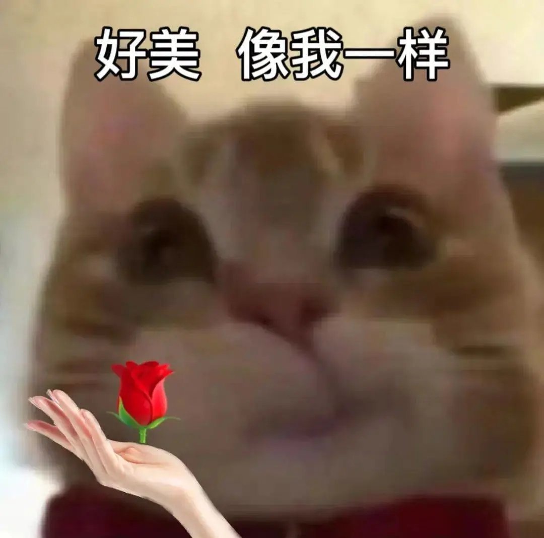 好玩有趣可爱表情包 ​​​