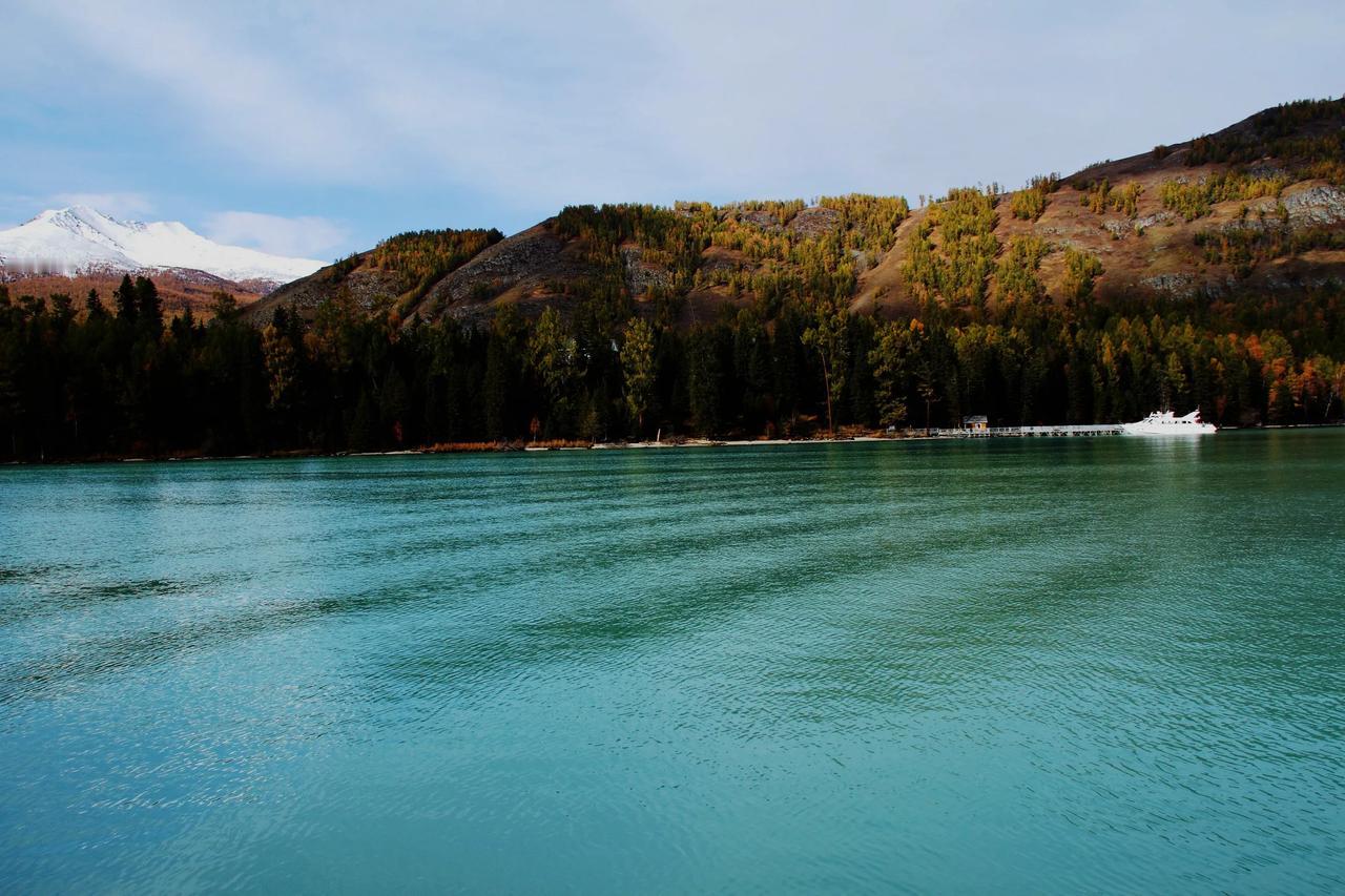 #秋日生活打卡季#
#看一下你相册里的喀纳斯#

【喀纳斯秋色】20241011