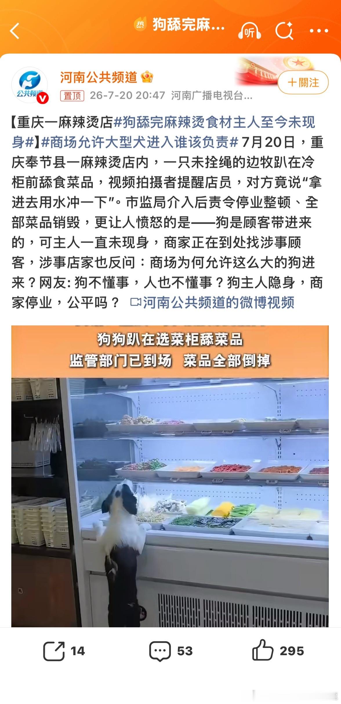 周小言麻辣燙恐怕只有吃狗肉的店才不怕有人帶狗去狗舔完麻辣烫食材主人至今未现身諸葛