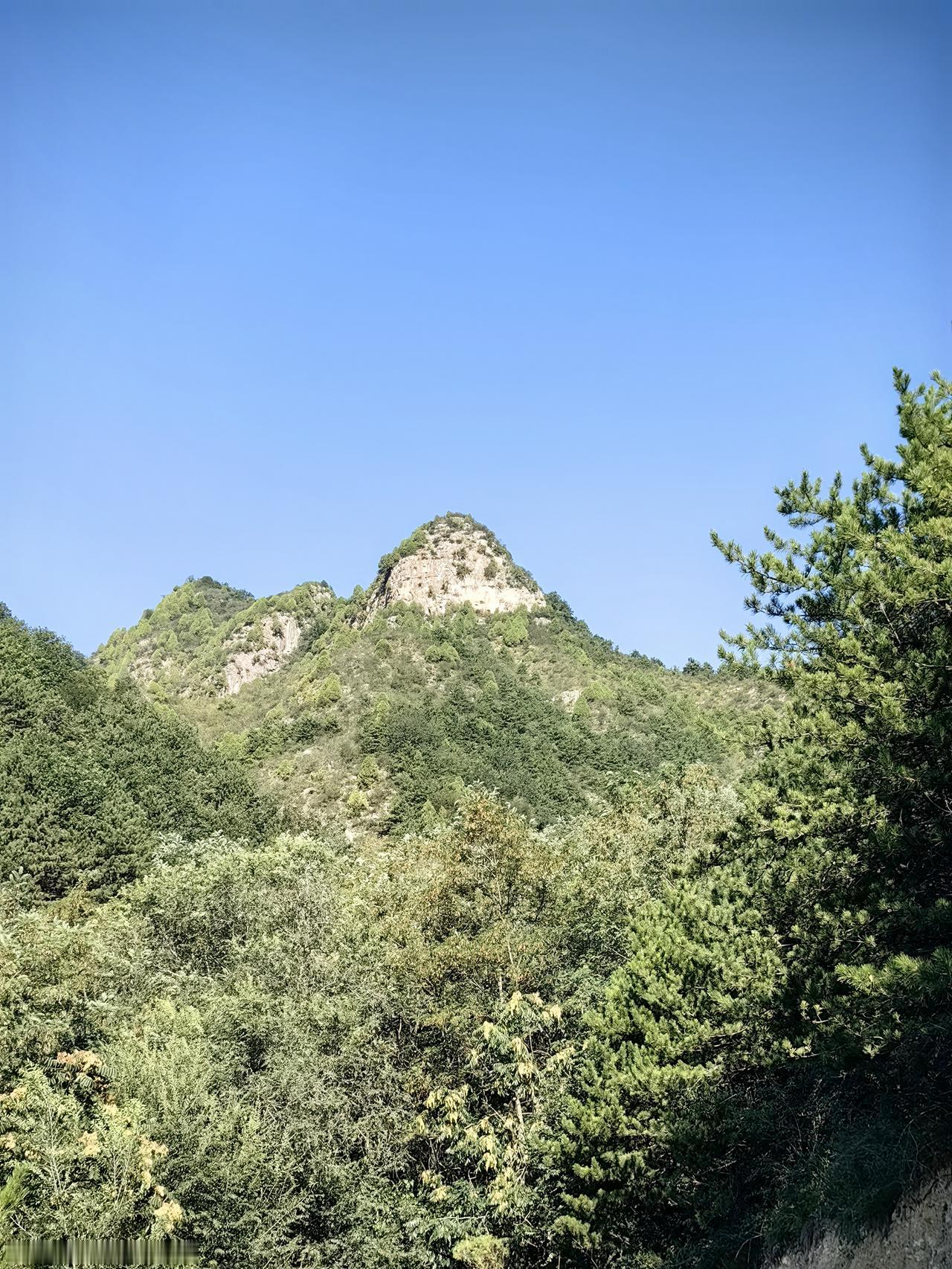好，好，好，这才是真正的炒股行家说的话，给你一个大大的赞[赞][赞][赞][赞]