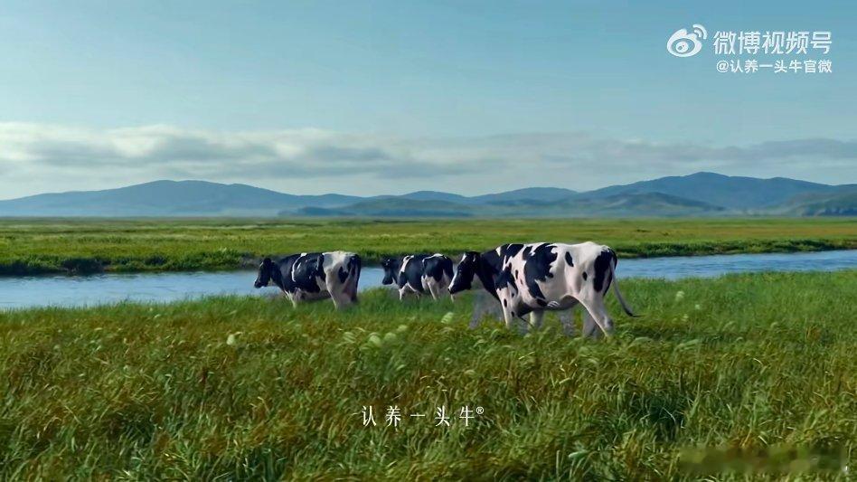 🌾 藏在奶盒里的黑土地温度🥹      当初刷到颖宝的黑土地之约宣传片，看着