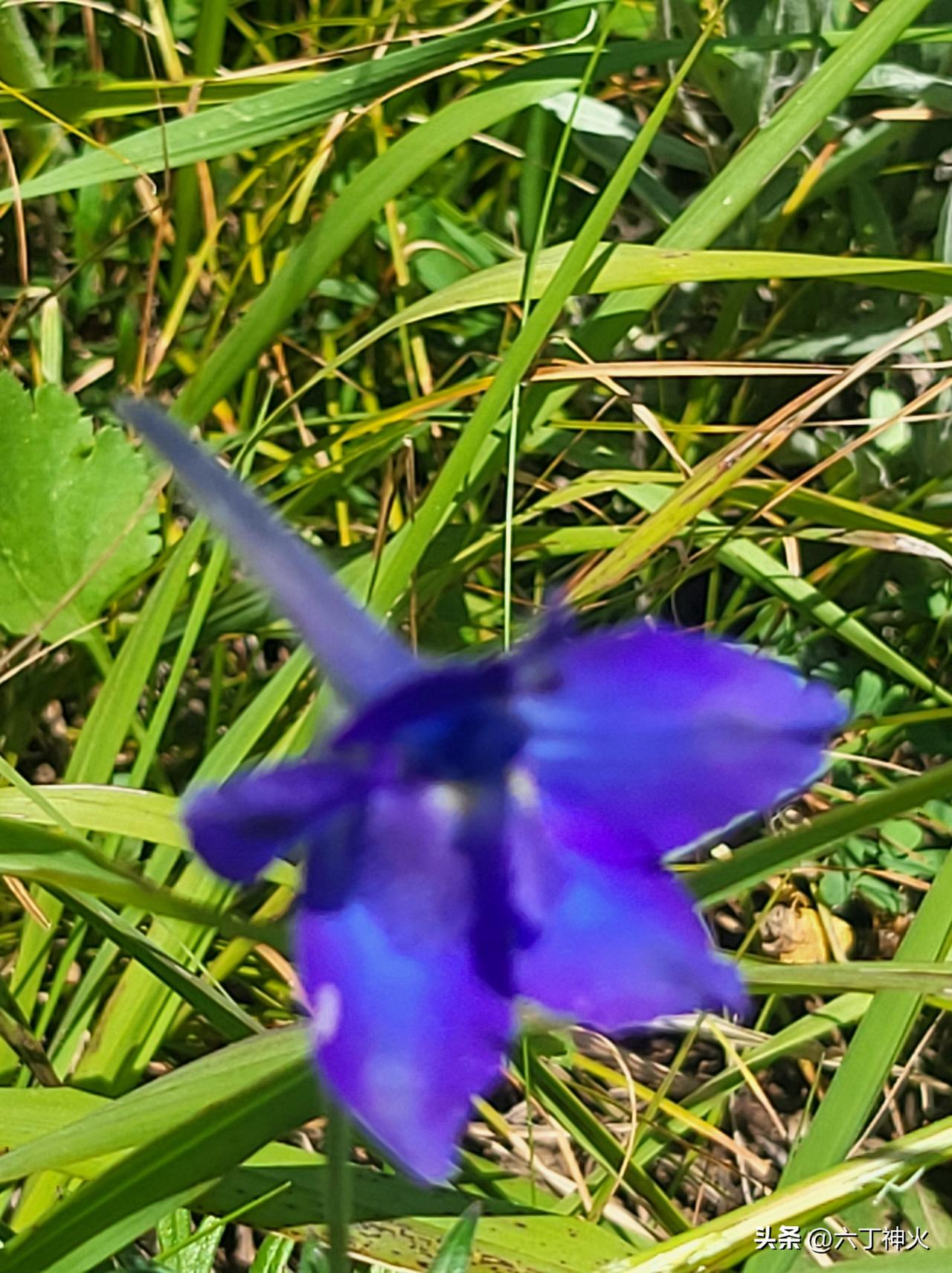 沁源花坡景区堪称宝藏地，宛如遗落人间的童话世界。
这里草甸广袤、繁花似锦。六到九
