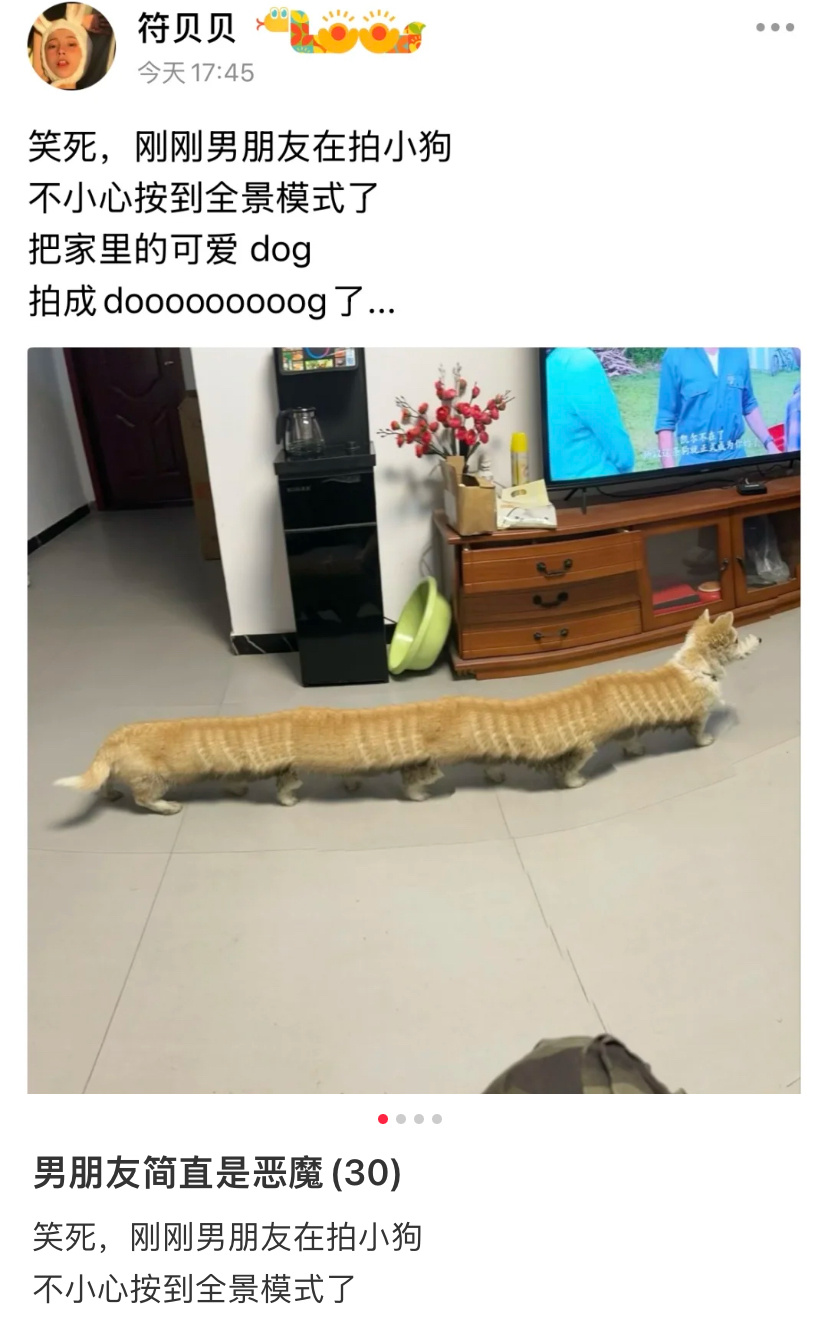 一不小心拍成doooooog 