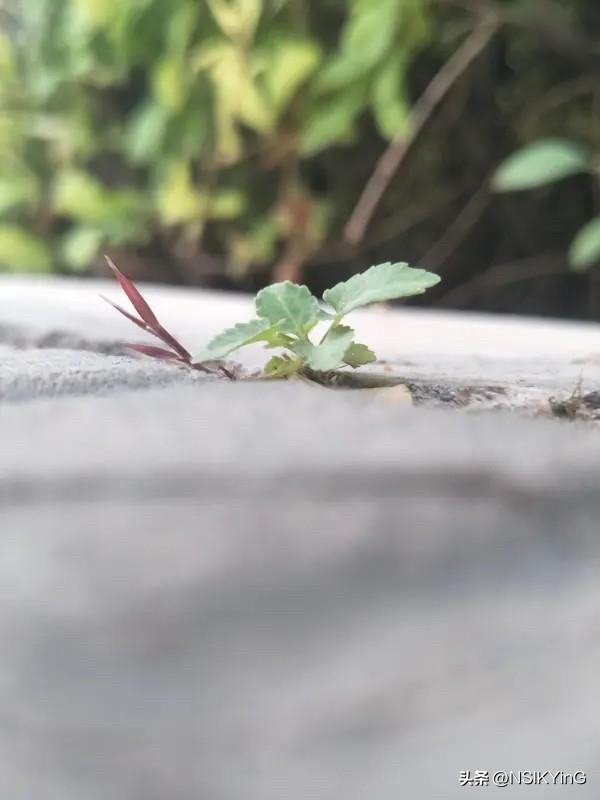 我们常常高估一天的改变，却低估十年的重塑，每个微小的坚持，都在为未来铺路。