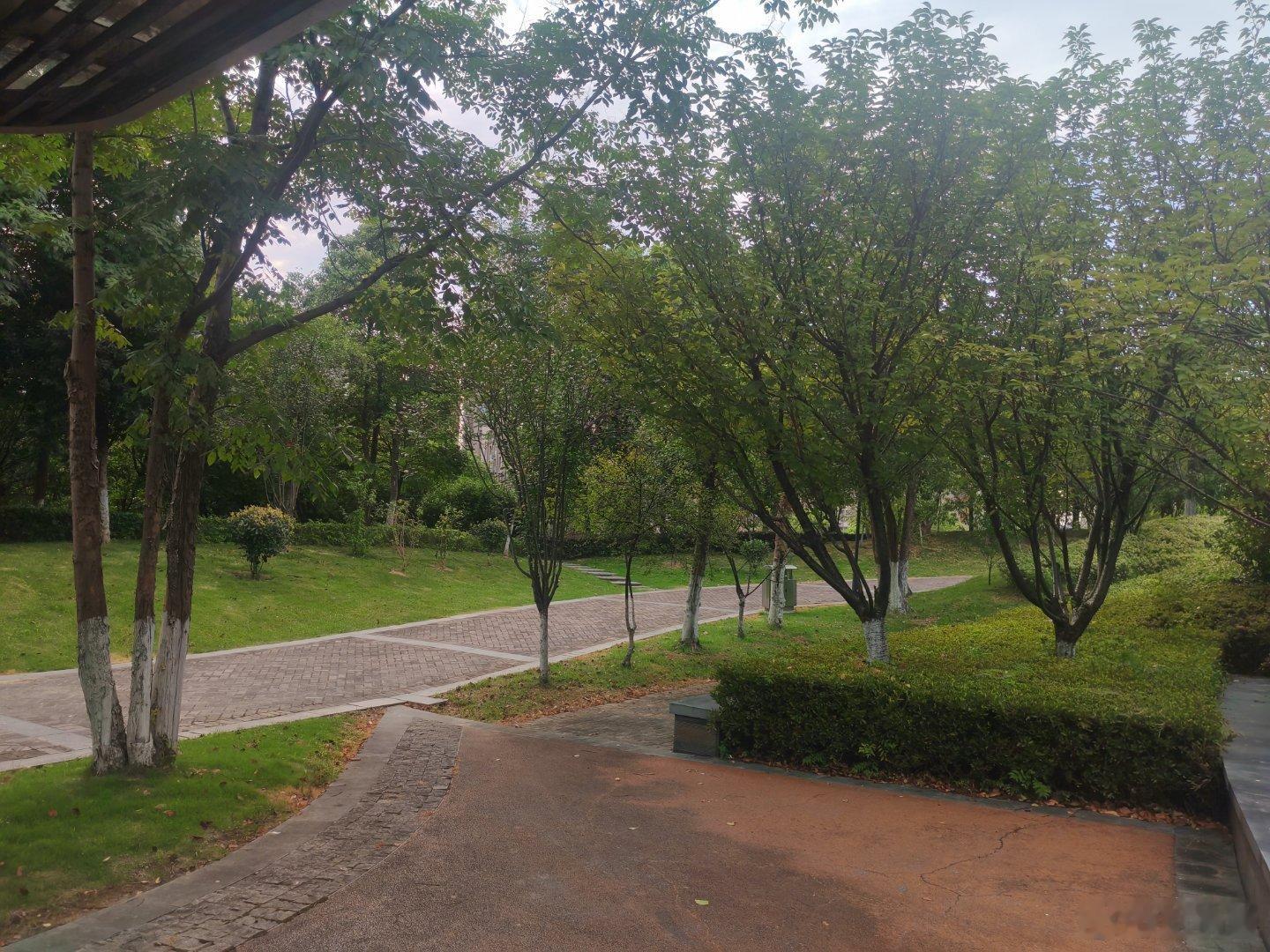 今天阴天，阴天比晴天舒服，没那么热。两遍八段锦打完，还有风吹过来，很舒服的！ 