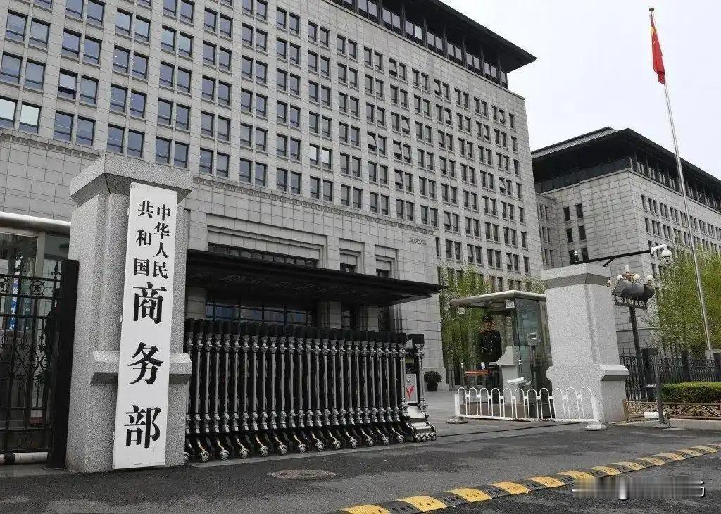 中国发起最严厉制裁，日本被打痛，跳脚叫屈，原想在台海对华动武，现在造武器恐都难了