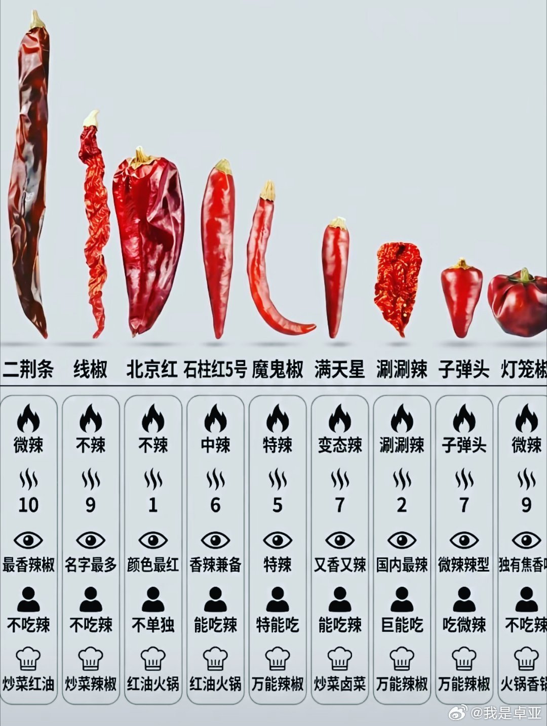 爱吃辣的人天塌了来来来，好好学习！ 