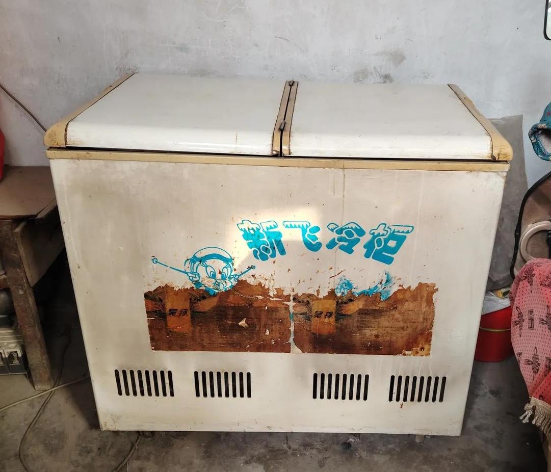 今年3.15！我必须曝光新飞冰箱！就是用不坏！简直太抗造了！
新飞广告做得好，不