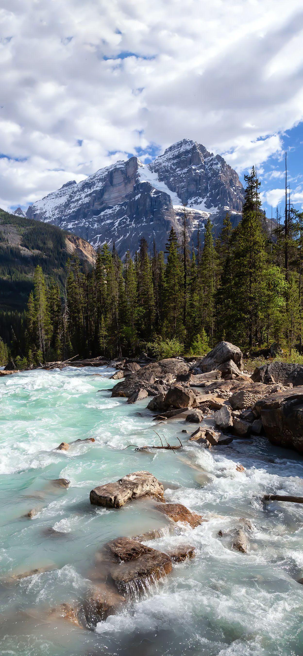 人到了晚年，
最大的清醒，
是别把自己的付出，
当成理所当然的免费品。
昨天刷到