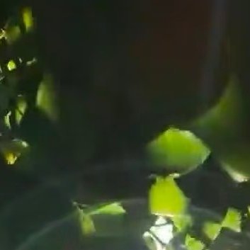 阳光信用[超话]每日一善阳光信用  人生就是一场修行，修的就是一颗心，珍惜今天，