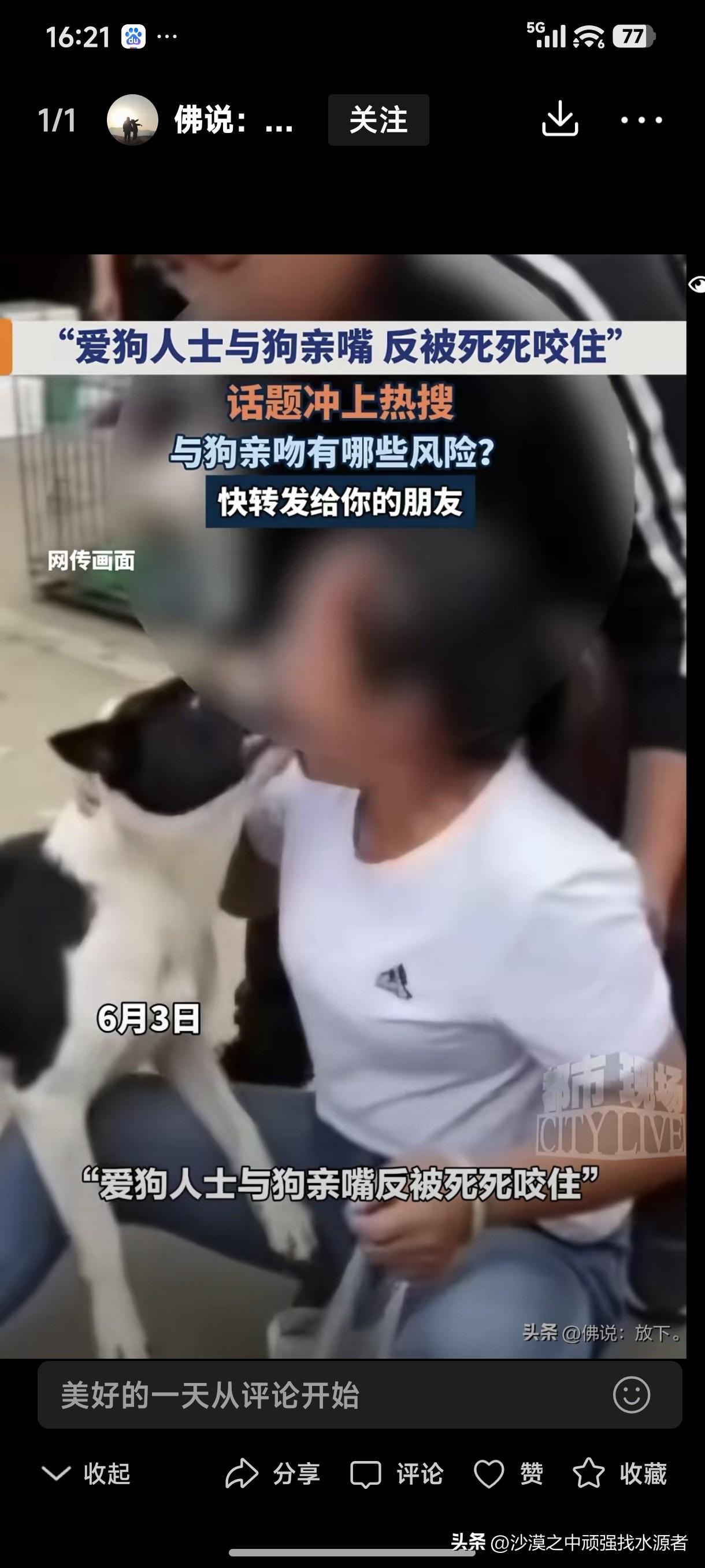 真的很让人费解，所谓的“爱狗人士”都是些什么样的人啊？竟然能爱狗爱到嘴对嘴“亲吻