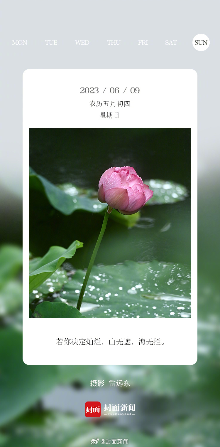 #小封日历# 早安，端午假期第二天，你有啥安排？[打call] ​​​