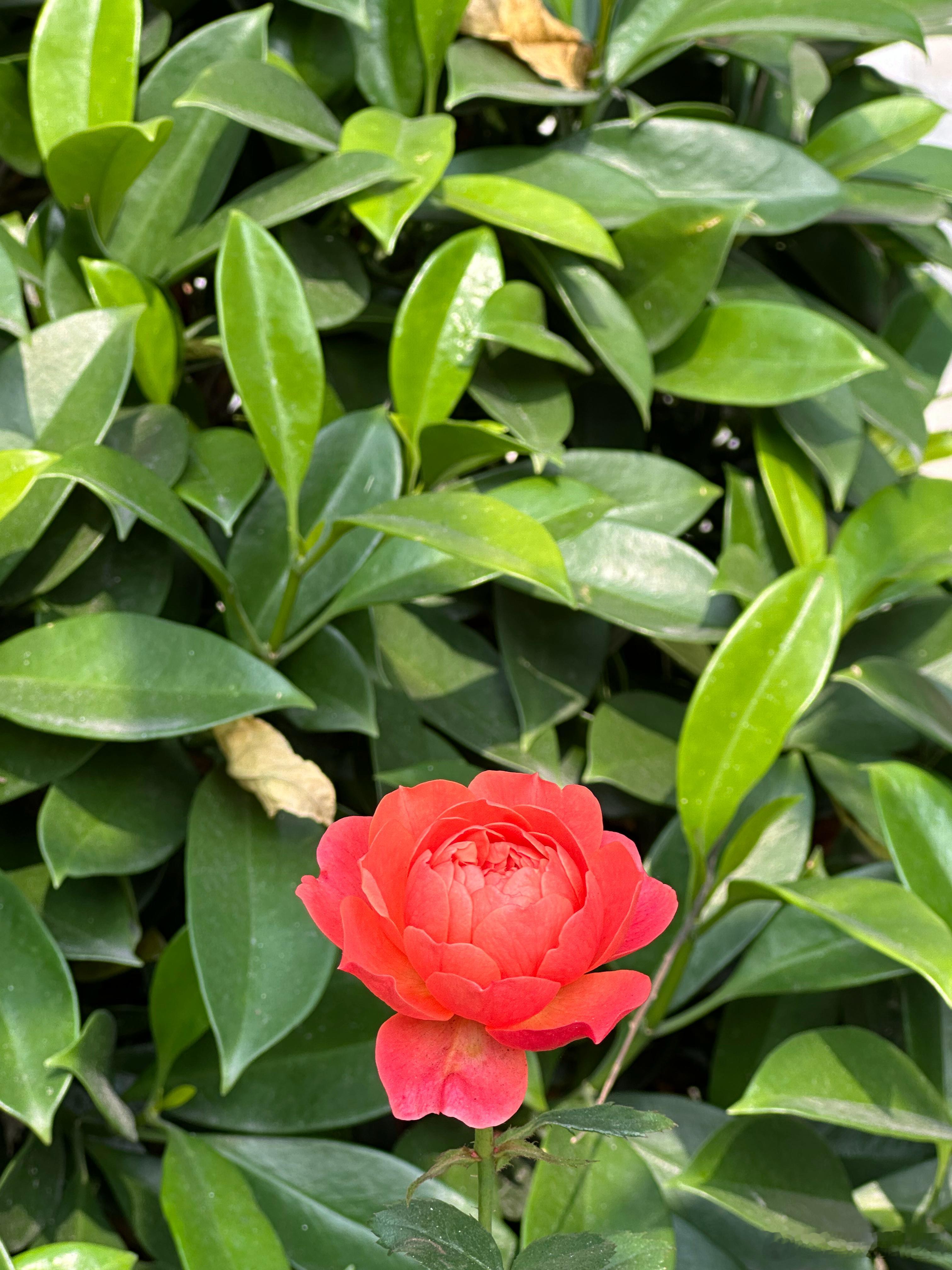 每日一善 👏👏👏阳光信用善良是一种修养，善待他人就是善待自己，要想得到别人