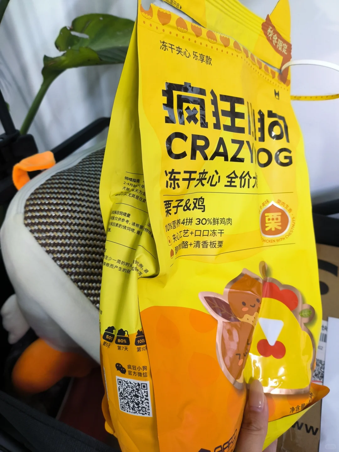 会回购的狗粮 分享一下