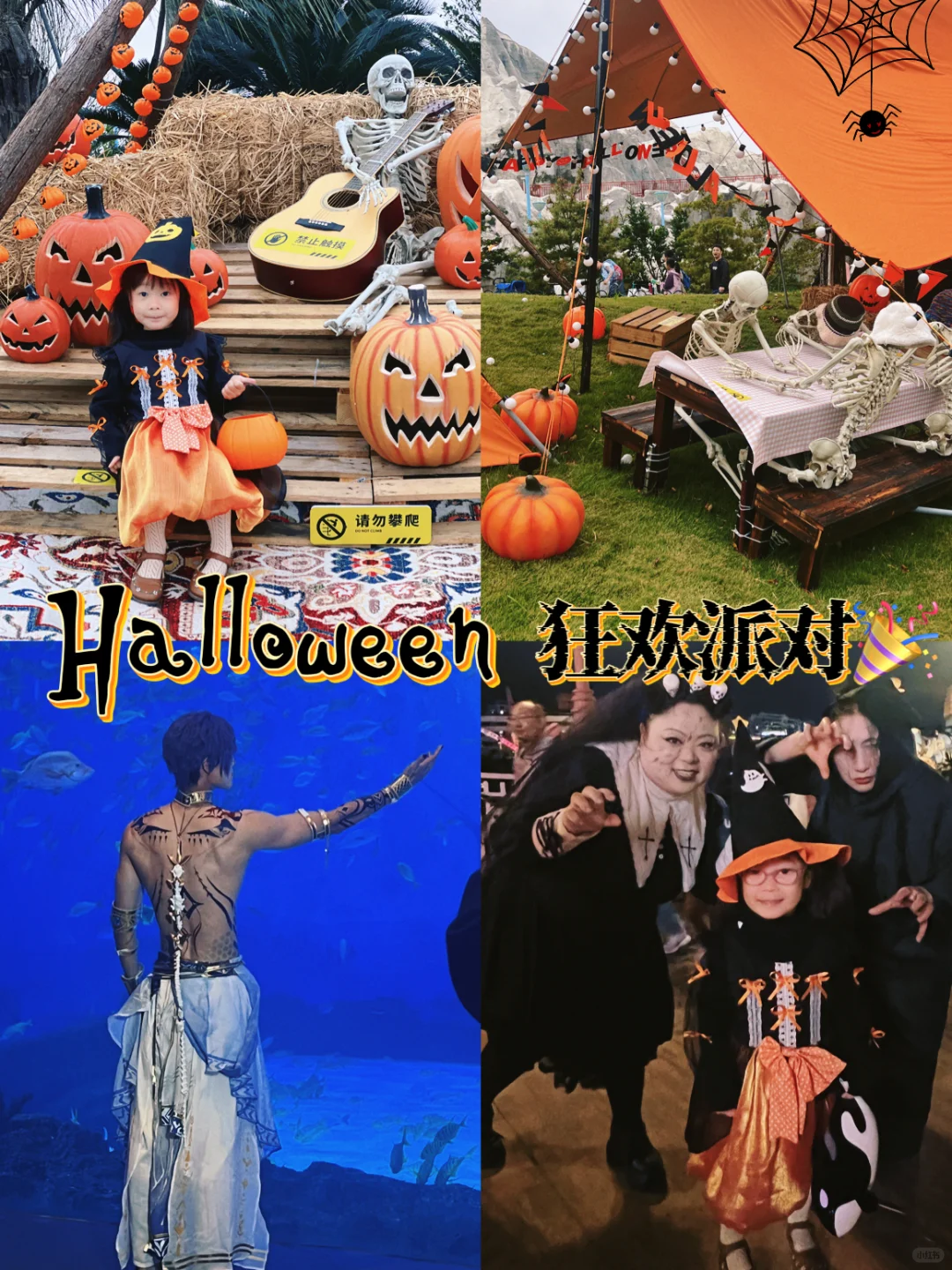 完爆某迪‼️🎃浓度99%，嗨翻了🎉