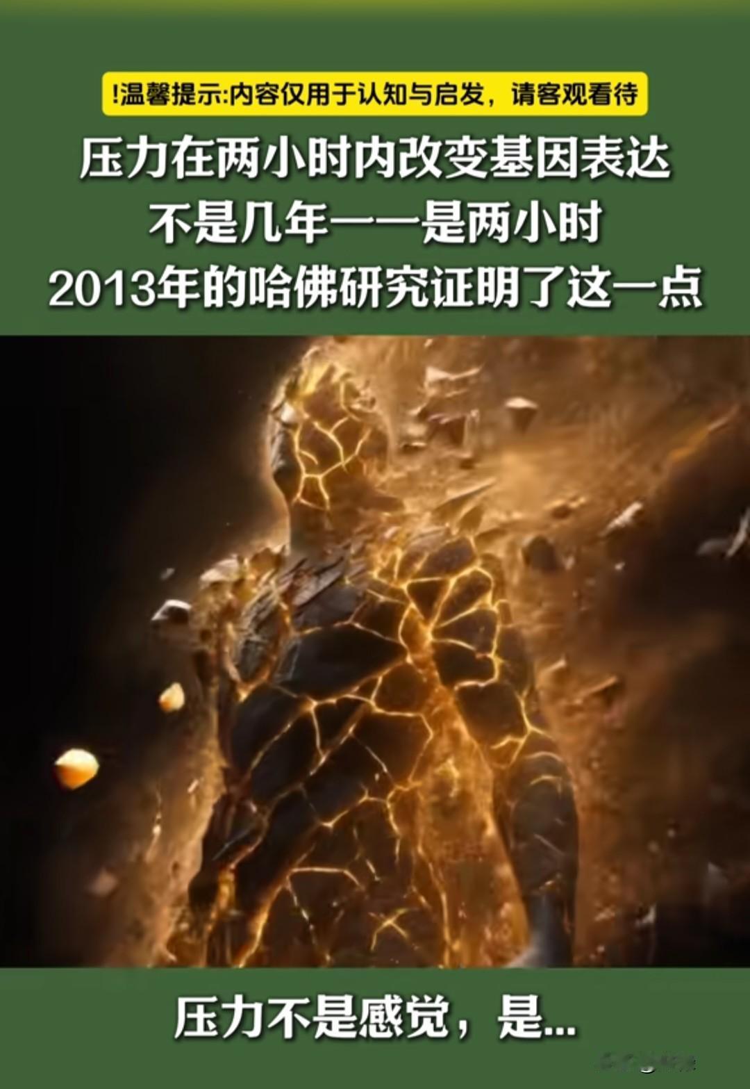“压力就是动力”？别再被骗了！科学证实：高压仅需2小时，你的基因就会被篡改！
