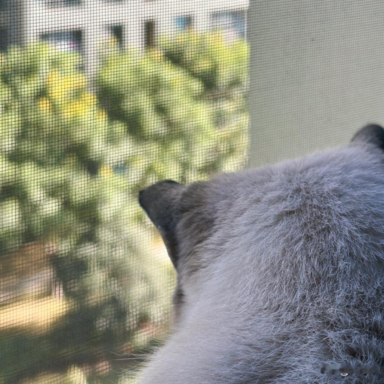 晒晒你拍的最可爱的动物晒图笔记大赛