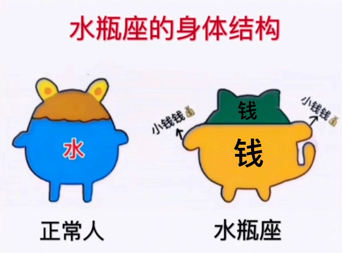 水瓶座 水瓶座女孩 十二星座 我的星座 星座 水瓶