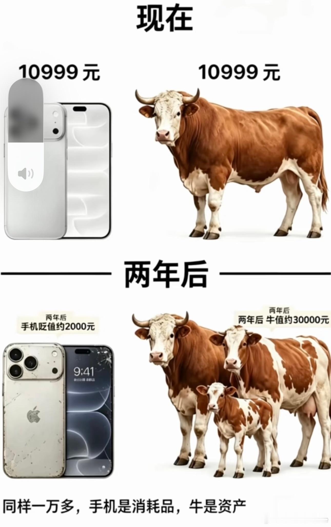 不能天天上班骑牛吧[doge] ​​​