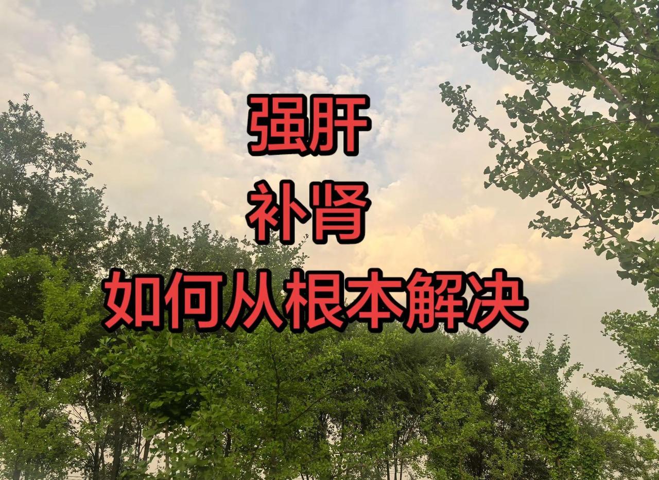 日，在澳门举行的世界女排联赛总决赛四分之一决赛中，中国女排以3-2逆转战胜美国女