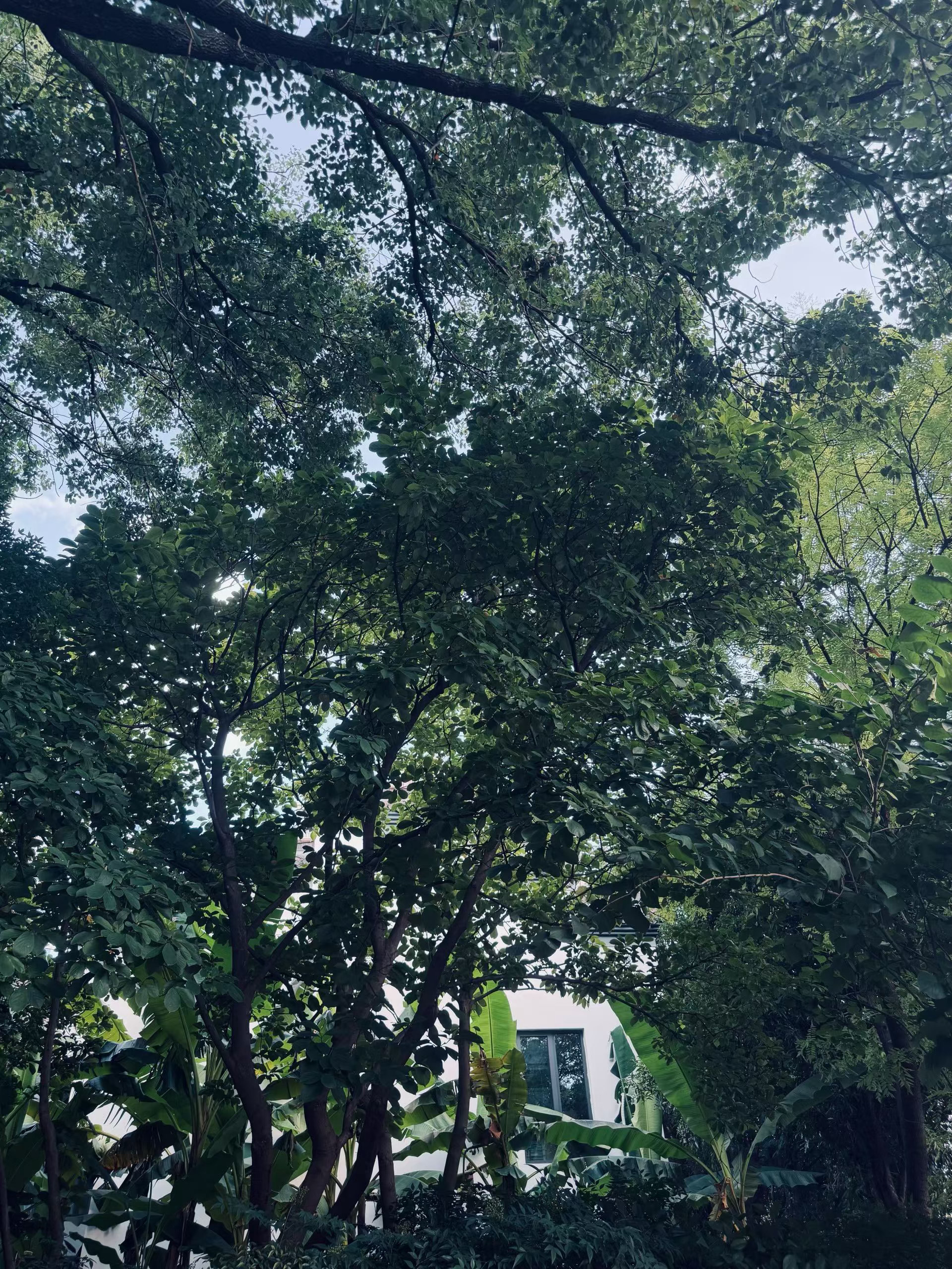 持续学习，持续精进。学习的本质是提升赚钱能力；市场一直在变化，不坚持学习，很难守