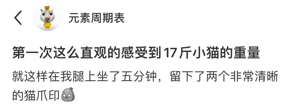 半个娱乐圈宣传翘楚第一次这么直观的感受到猫咪的重量