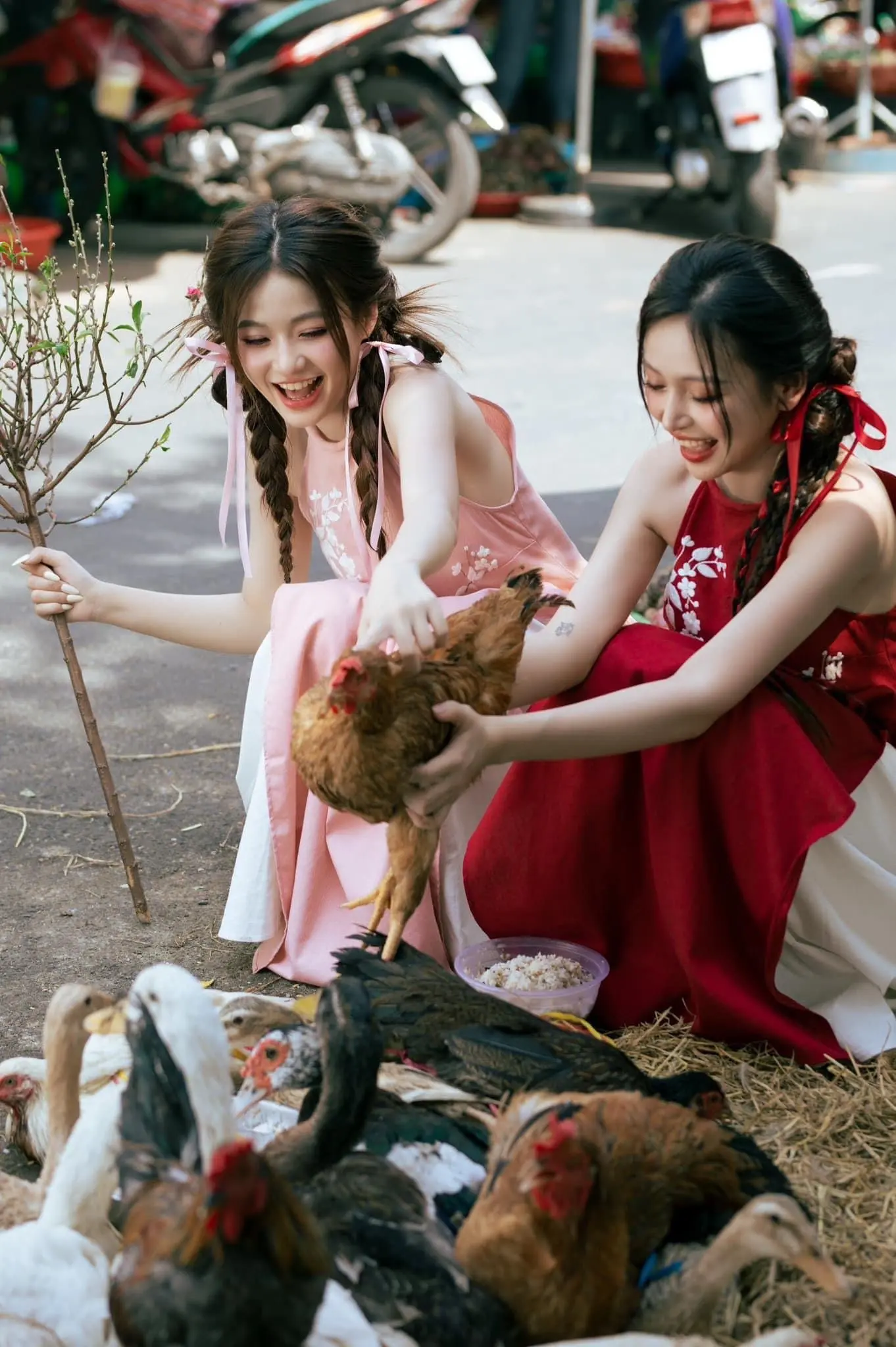 新年的热闹与喜悦，都在镜头按下的瞬间被定格，成为往后日子里的温暖回忆 。