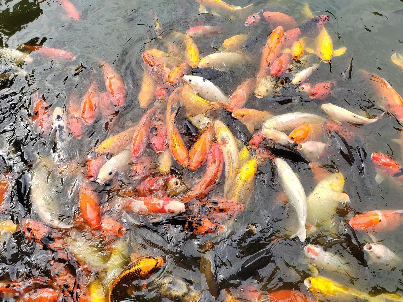 世上哪里最繁荣、哪里最安全?要说世上哪里最繁荣、哪里最安全，还真有不少地方值得一