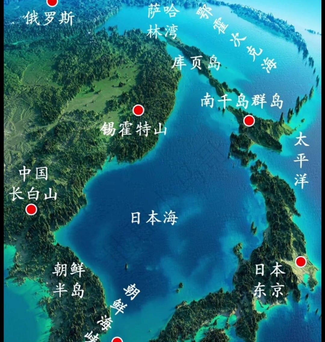 根据媒体报道，俄罗斯总统普京登上南千岛群岛，日本表达强烈抗议，高市早苗声称“绝对