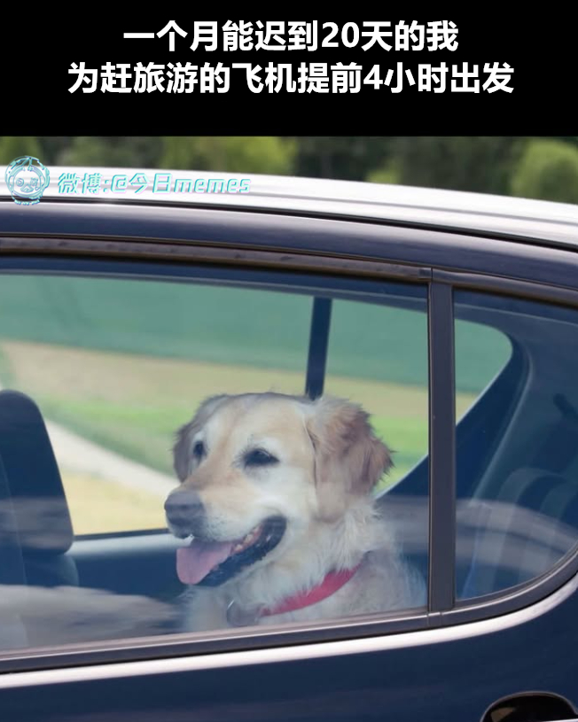 都是教训（9gag）今日meme 今日memes