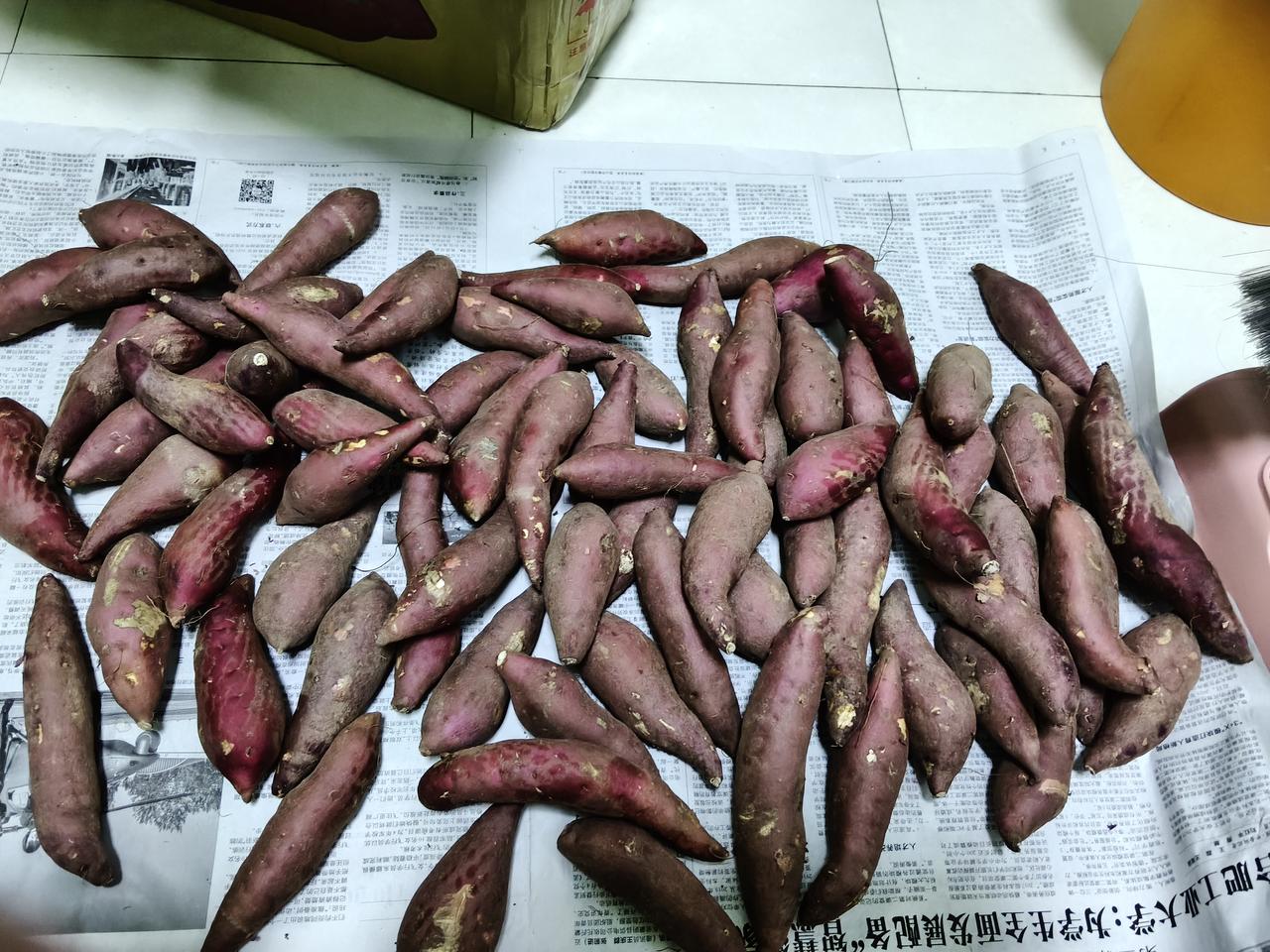 不知道临高地瓜怎么样，我是第一次买，别看这临高地瓜不起眼，价格还是挺贵的，9斤地