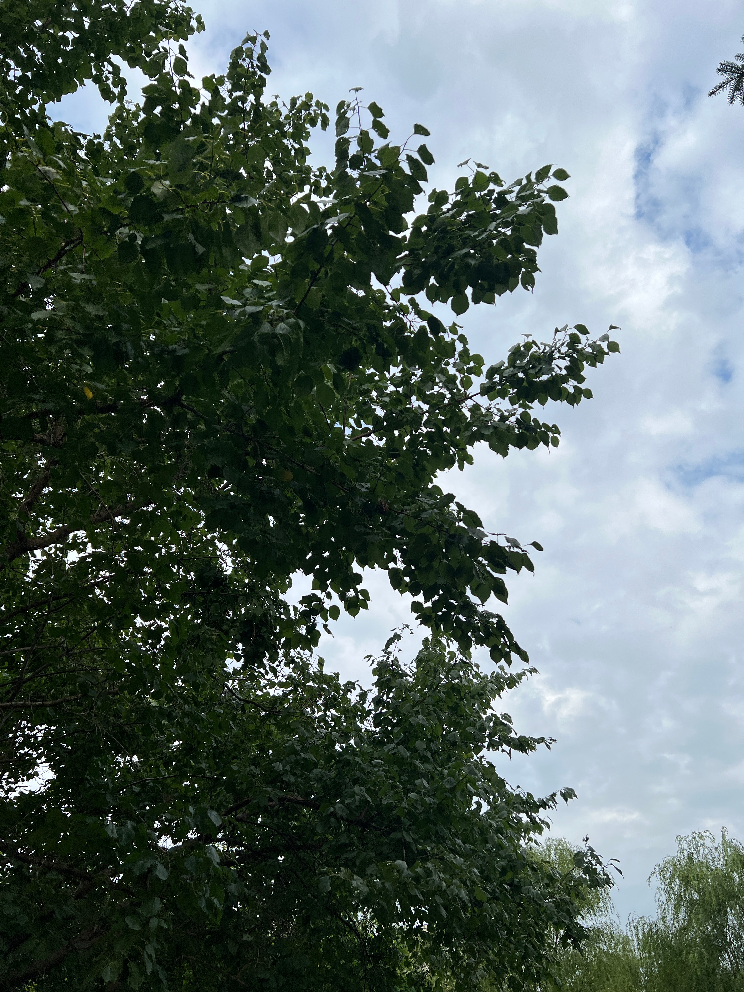 今天早晨没有懒觉睡了，好喜欢周末的懒觉时光，感觉能赖床就是超级舒服的日子！ 