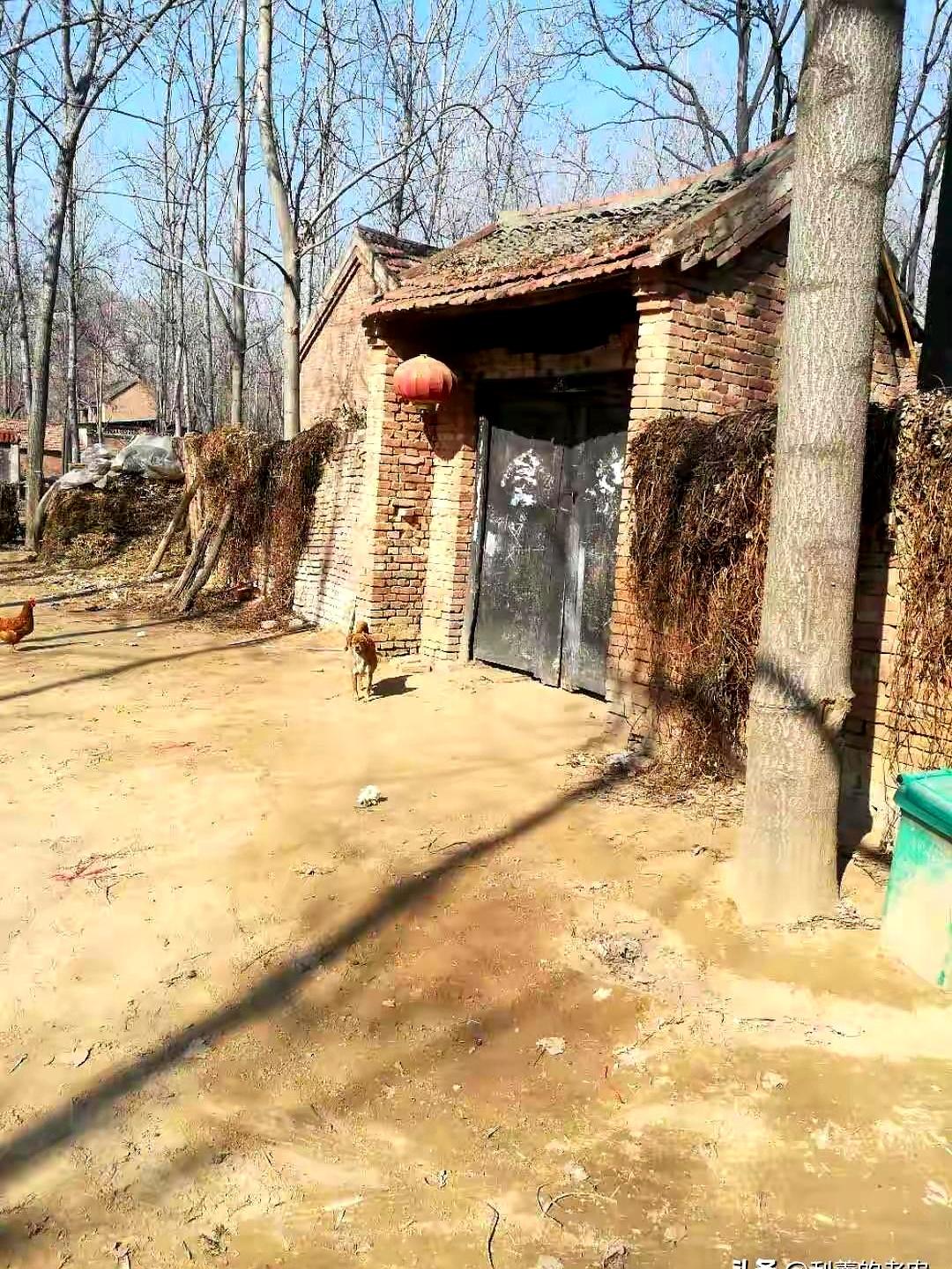 说实话，爱和生理需求哪个更重要？
咱小时候在村里见得多了，哪个村都有条件差的汉子