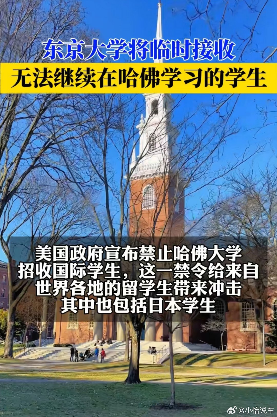 东京大学将临时接收哈佛国际学生都是人才谁不想要，人才在哪都是人才，不管何时都是抢
