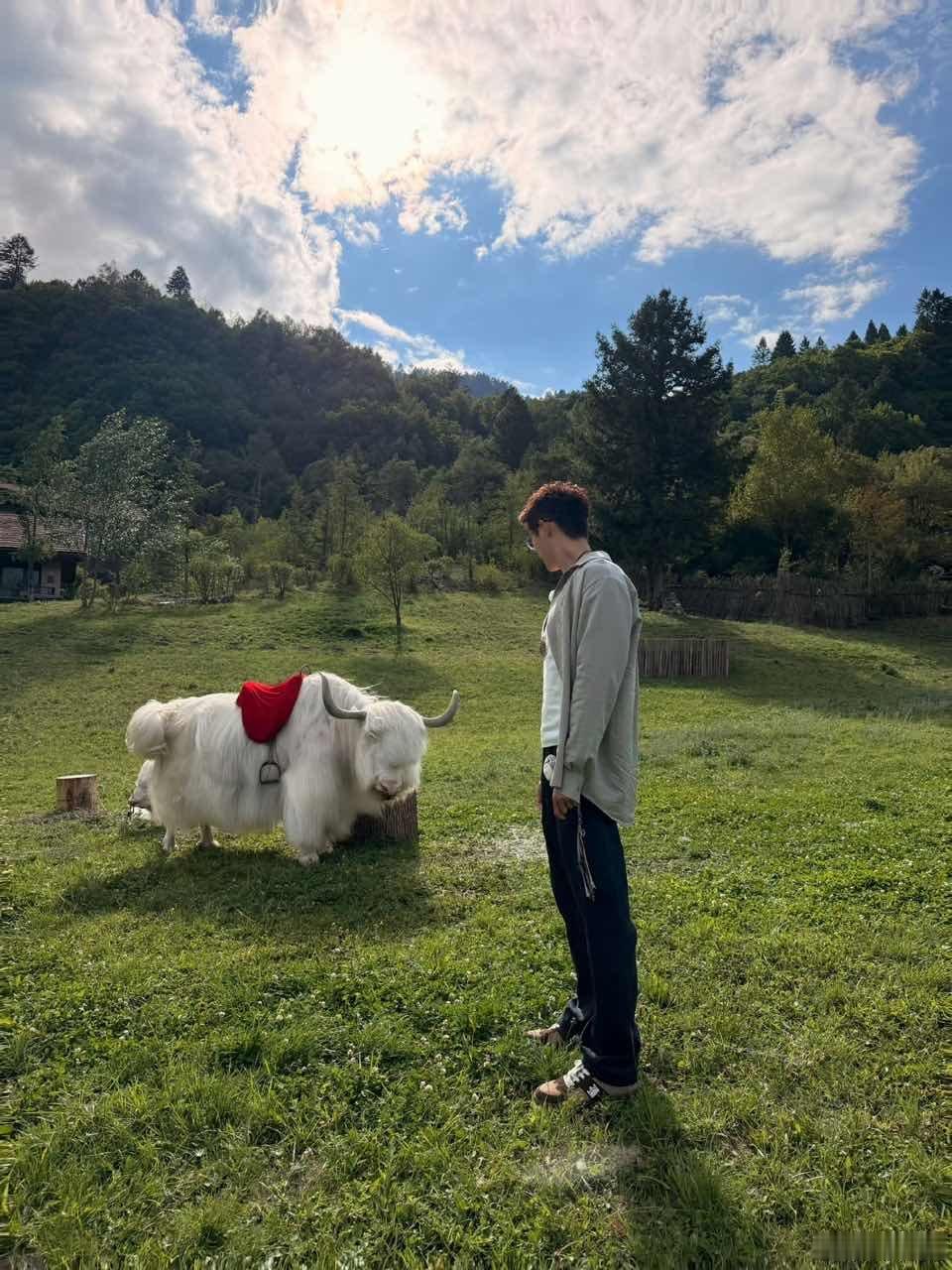 黄景瑜拍的九寨沟黄景瑜拍的九寨沟，太美了吧 ​​​