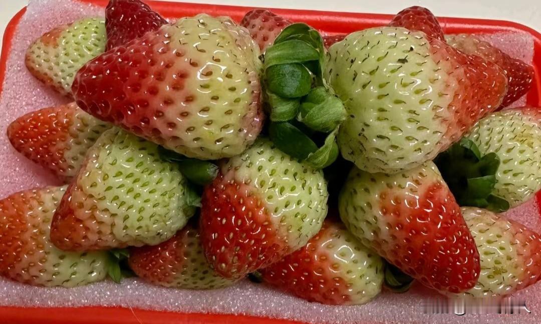 朋友买的据说是牛奶草莓。我就纳了闷儿了，这样的青果子也叫牛奶草莓吗？商家的良心哪