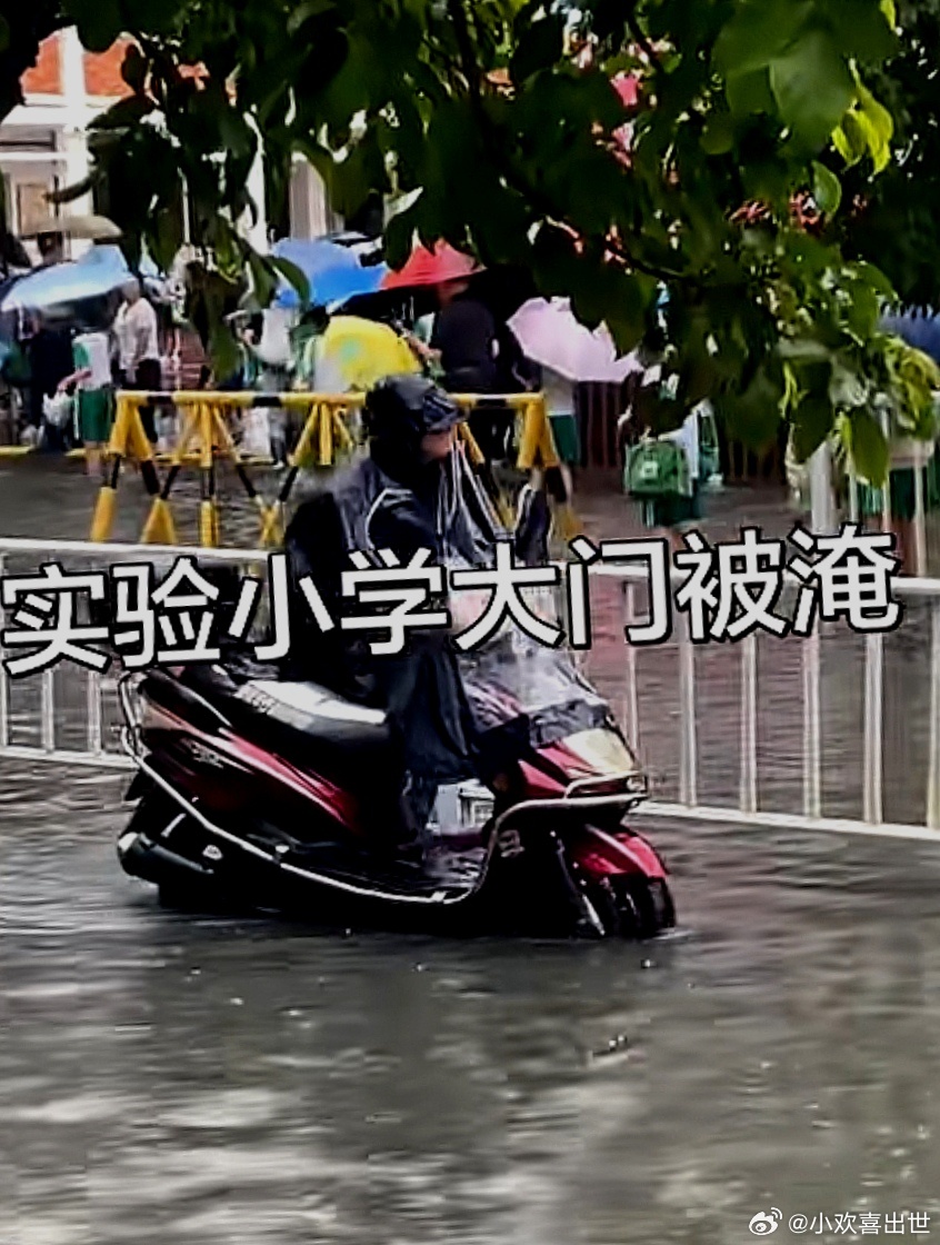 实验小学大门被淹 