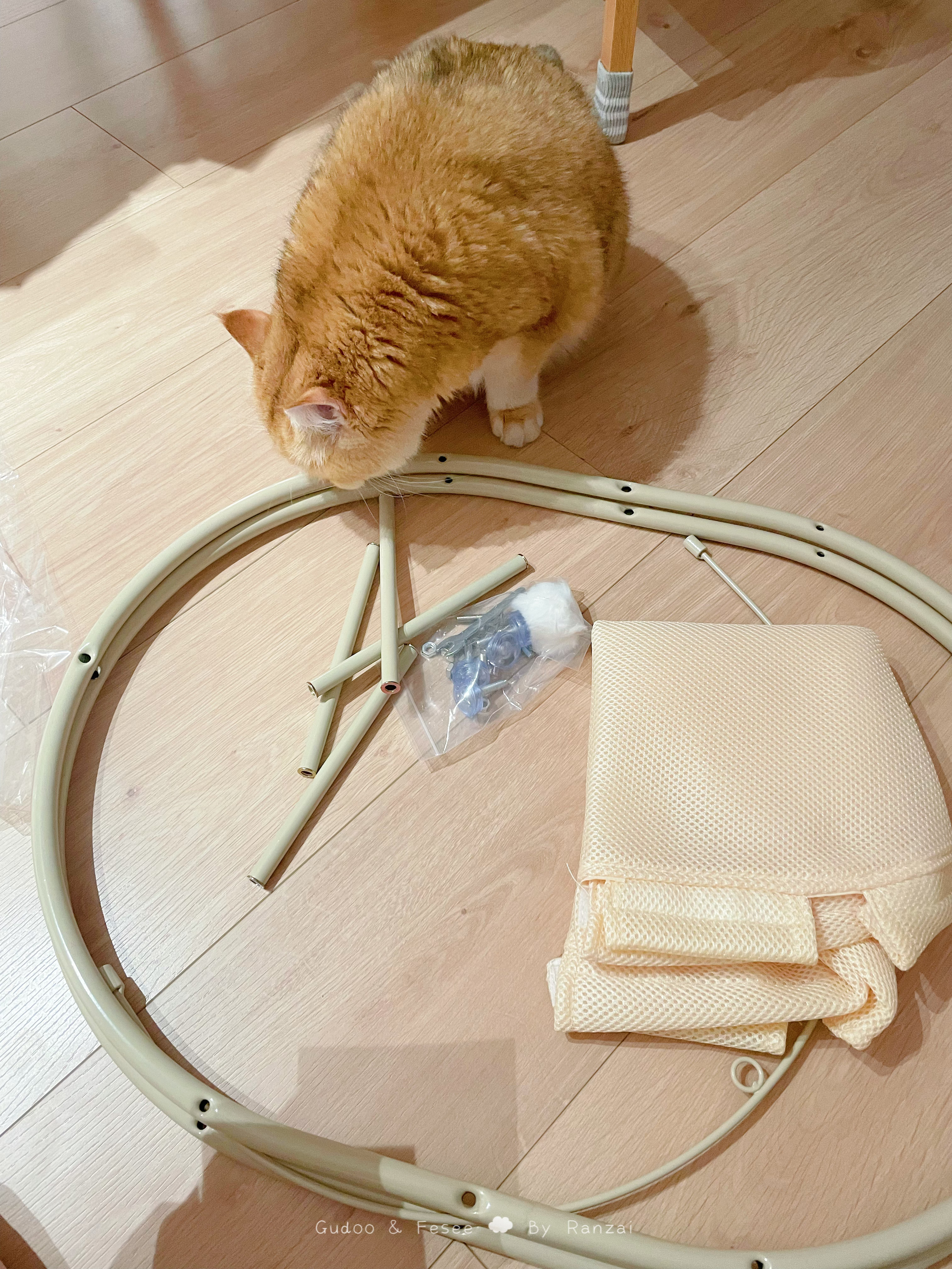 看孩子老喜欢躺猫包就专门买了吊床结果就是想退货但来不及了[微笑]#菇冬怎么肥四[