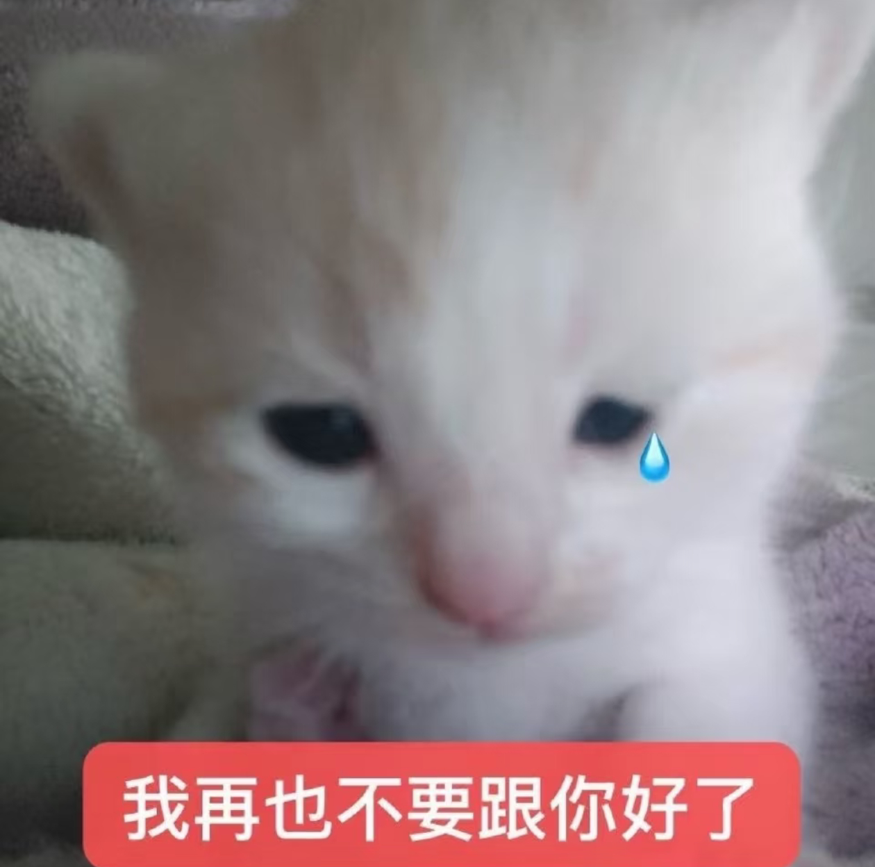 我小发雷霆，我怒火微烧，总而言之我生气了 