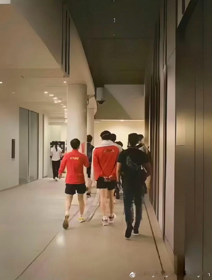 等待和陪伴本身是充满浪漫情愫的旅程[抱一抱]王楚钦孙颖莎 ​​​